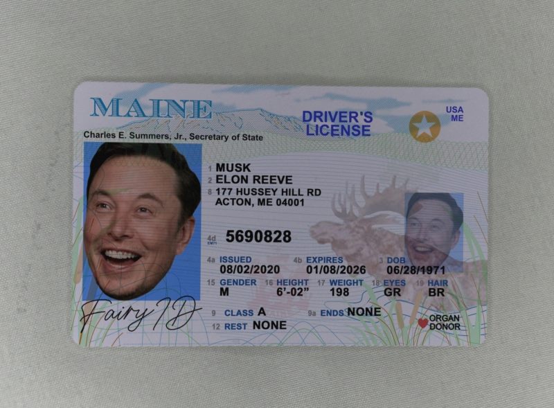 Maine Fake ID