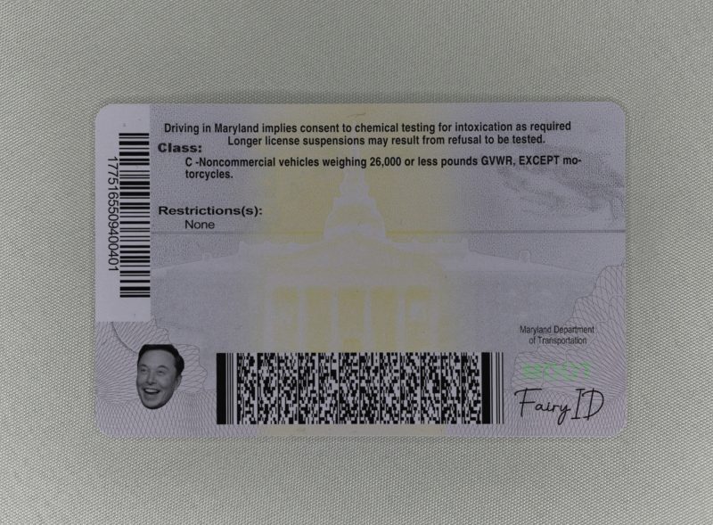 Maryland Fake ID - Image 2