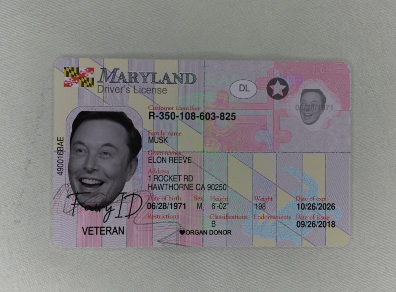 Maryland Fake ID