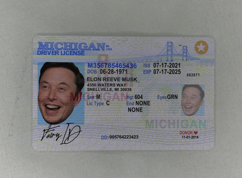 Michigan Fake ID