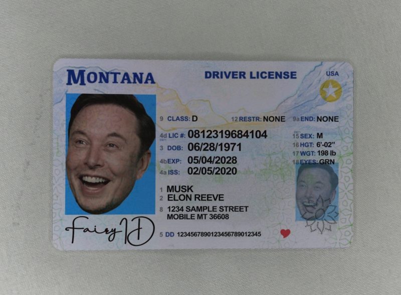 Montana Fake ID