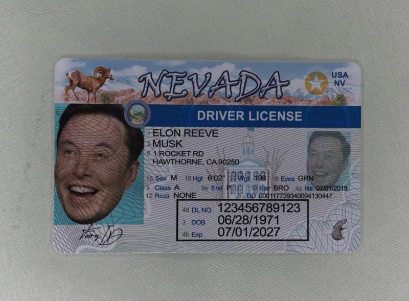 Nevada Fake ID