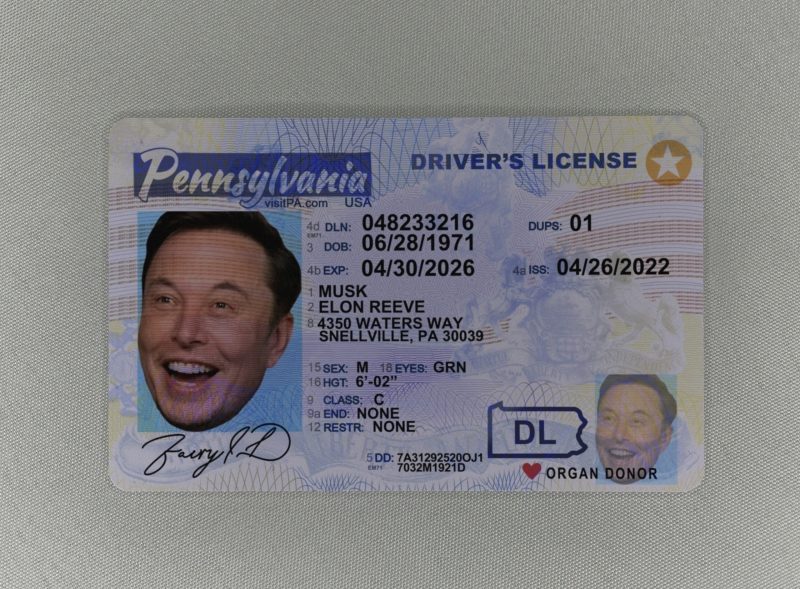 Pennsylvania Fake ID