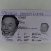 Virginia Fake ID