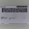 Washington Fake ID - Image 2