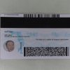 Florida Fake ID - Image 2