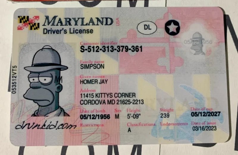 Maryland Fake ID