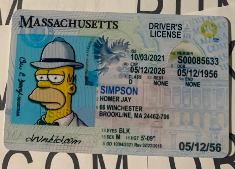 Massachusetts Fake ID