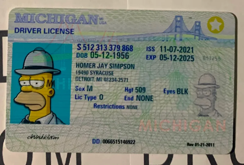 Michigan Fake ID