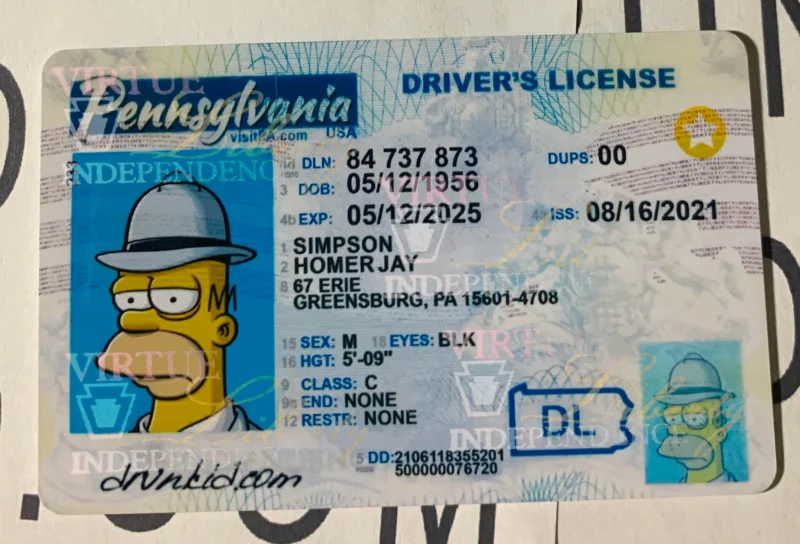 Pennsylvania Fake ID