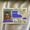 USA-DL  Sets | Front-Back | Holding Selfie | SSN & Address Etc.
