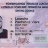 AUTHENTIC FULLY REGISTERED DRIVERS LICENSE (ASIA, EUROPE & USA) - Image 3